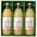【21W136】信州産りんごジュース 3本セット