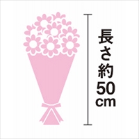 6713-055
【母の日専用】シャクヤク&カーネーションの花束